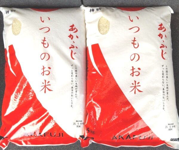 令和6年度 神明 あかふじ いつものお米 5kg × 2袋 10kg こしひかり 送料無料 24時間以内発送