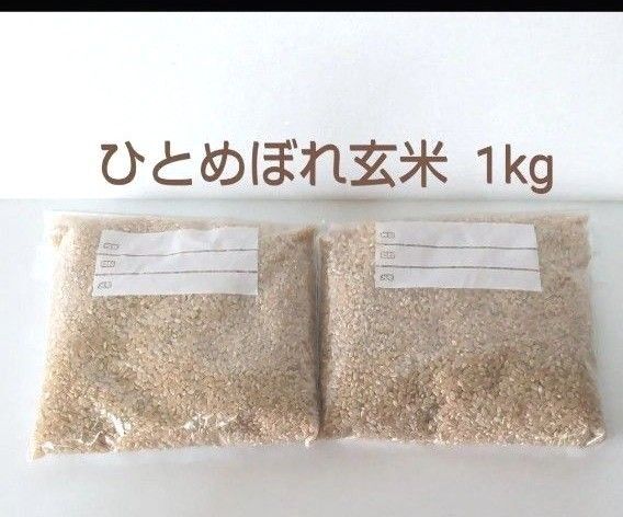 令和6年 岩手県産 ひとめぼれ玄米 1kg