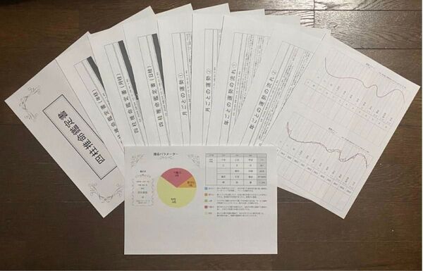 占い鑑定【鳥海流四柱推命鑑定書10枚セット】鳥海伯萃オーダーメイド占いの帝王願望実現金運仕事運恋愛運結婚運運勢運気才能素質自己分析