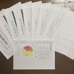 占い鑑定【鳥海流四柱推命鑑定書10枚セット】鳥海伯萃オーダーメイド占いの帝王願望実現金運仕事運恋愛運結婚運運勢運気才能素質自己分析