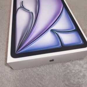 11インチ iPad Air M3 Wi-Fi 256GB スペースグレイ 2025年モデル