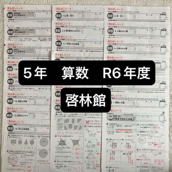 5年 算数 カラーテスト 答え 啓林館 R6年度 2024年