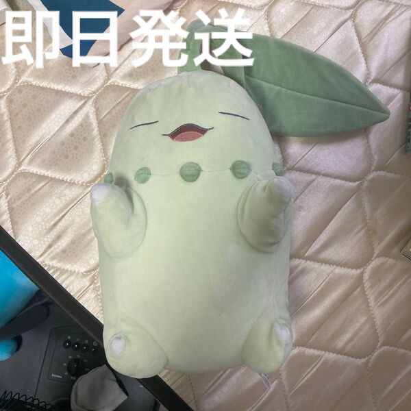 ポケットモンスター チコリータ もっちりぬいぐるみ ぬいぐるみ ポケモンスリープ
