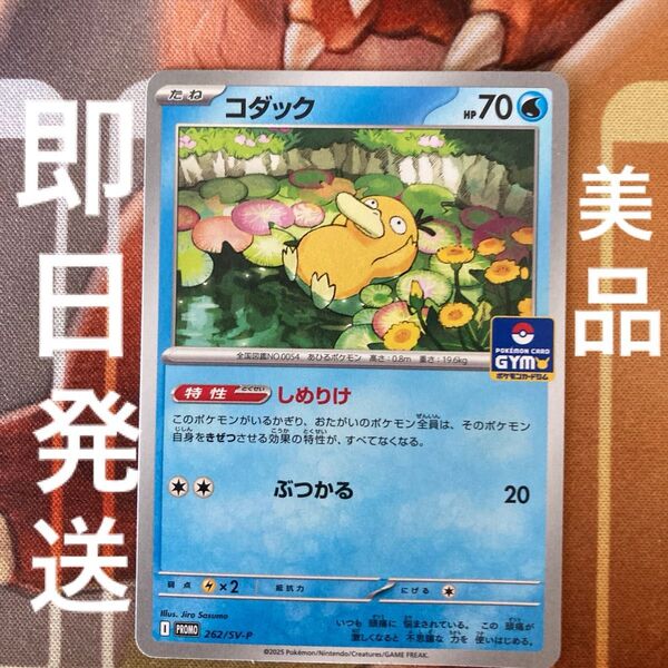 ポケカ コダック しめりけ ジムバトル ジムプロモ第10弾 ポケモンカードゲーム ロケット団の栄光