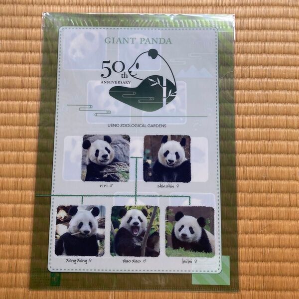 新品 上野動物園 ジャイアントパンダ50周年記念クリアファイル