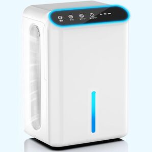 除湿機 大容量 強力除湿 除湿器 部屋干し 湿気取り 【除湿量1L/日 15畳