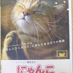にゃんこ THE MOVIE (オムニバス映画) 篠原涼子 (ナレーション)