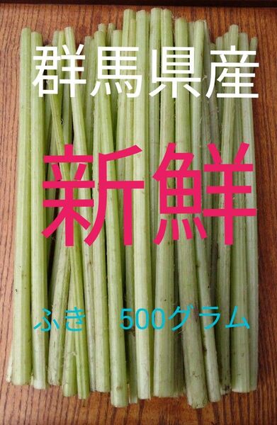 農家直送!!■群馬県産■ふき500グラム♪新鮮!!