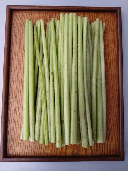 農家直送■群馬県産■ふき500グラム!!
