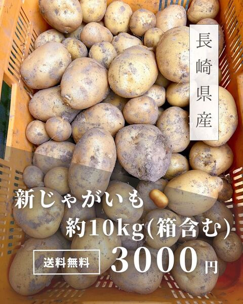 掘りたて!新じゃがいも(ニシユタカ)約10kg【土付き・家庭用】