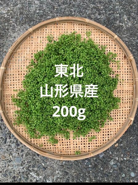 山形県産 山椒の実 無農薬 200g