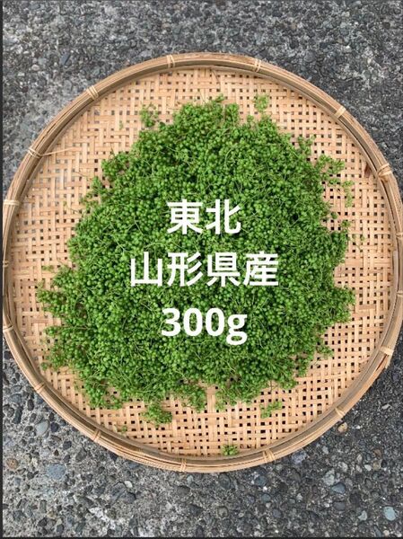 山形県産 山椒の実 無農薬 300g