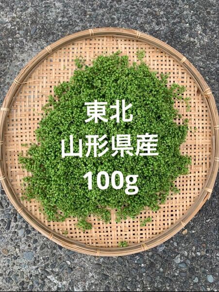 山形県産 山椒の実 無農薬 100g