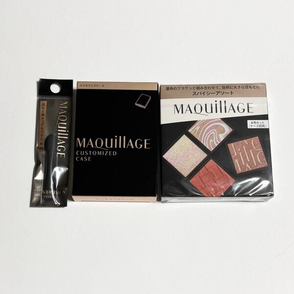 資生堂 SHISEIDO マキアージュ MAQuillAGEカスタマイズアイカラーアソート01スパイシーアソート ケース チップ