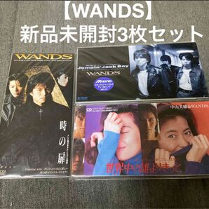 【新品未開封!早い者勝ち!】WANDS 中山美穂CD 3枚セット