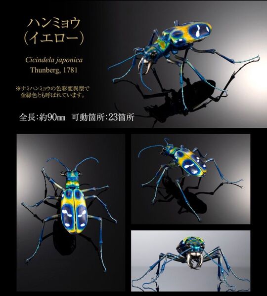 いきもの大図鑑アドバンス ハンミョウ イエロー オンライン版