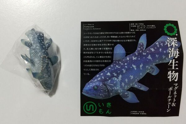 ネイチャーテクニカラー MONO PLUS 深海生物 マグネット&ボールチェーン シーラカンス
