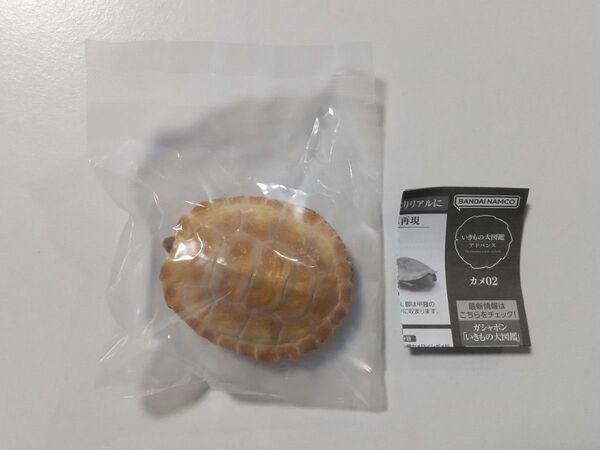 いきもの大図鑑アドバンス カメ02 イシガメ(イエロー)