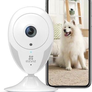 ベビーモニター 見守りカメラ ネットワーク EZVIZ 1080Pペットカメラ