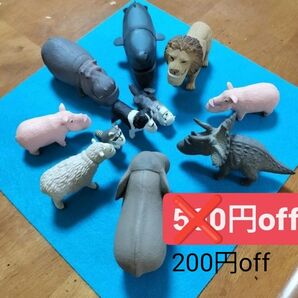 シャクレルプラネット 11点まとめ売り