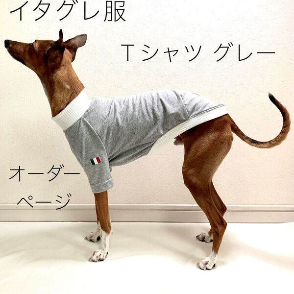 イタグレ服 Tシャツ グレー ハンドメイド オーダーページ