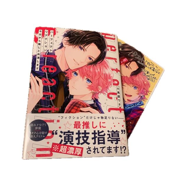 パーフェクトリアクション 今日から推しと共演します /小鳥遊ウタ