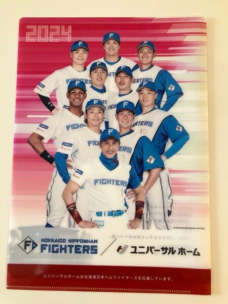 北海道日本ハムファイターズ クリアファイル2種