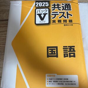 【学校専売品】2025共通テスト実践問題パックV 駿台文庫