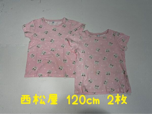 半袖Tシャツ 2枚 120cm ネコ柄 ピンク 西松屋 美品 トップス