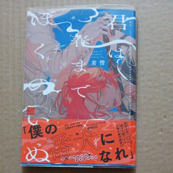 君は春までぼくののいぬ 劣情