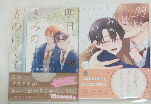 明日、きみのものにして 明日、きみのものにしてmore 2冊セット 美山薫子