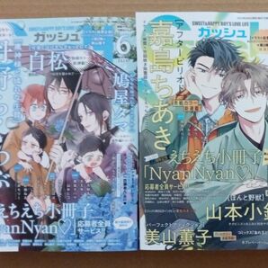 GUSH 2025年 6月号 7月号 応募関係は切り取り済み