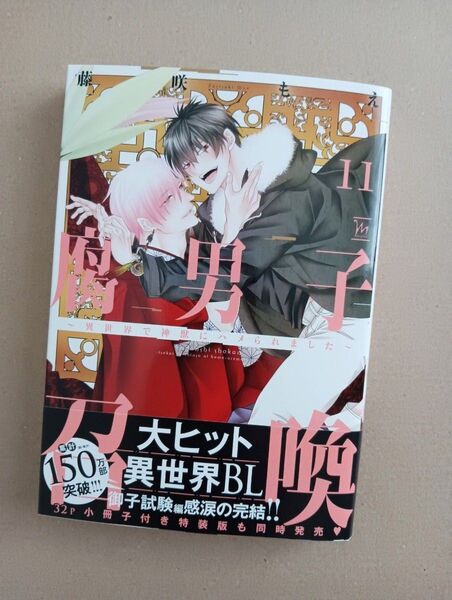 腐男子召喚 異世界で神獣にハメられました 11/藤咲もえ