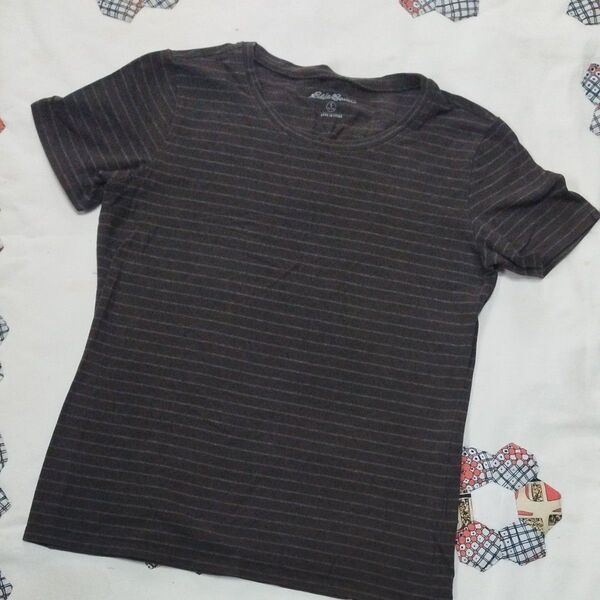 レディース★Eddie Bauer ボーダーTシャツ ブラウン×グレー Sサイズ