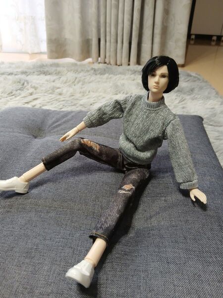 1/6 人形 30センチ 男子図鑑 バービーケン りかちゃん はると オム フィギュア