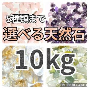 5種類まで選べる 天然石 さざれ 合計10kgセット 水晶 さざれ石 細石 チップ まとめ売り 大量