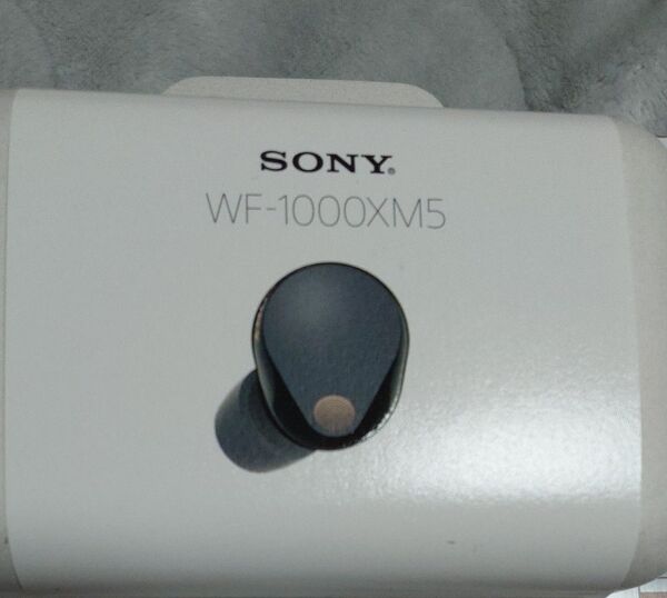 WF-1000XM5 BC