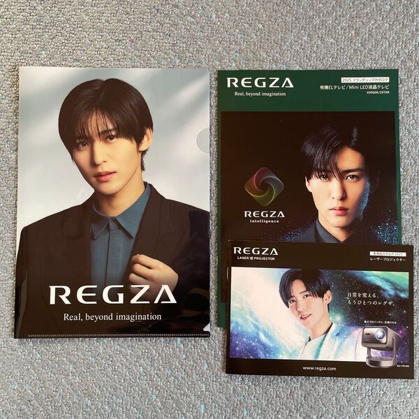 REGZA 目黒蓮クリアファイル カタログ