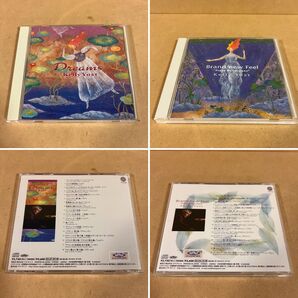 ケリー・ヨスト ドリームス ブランド・ ニュー・フィール 国内盤 CD セット