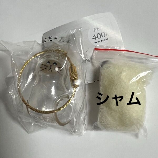 うちの子のけだまだま シャム キャンセル不可
