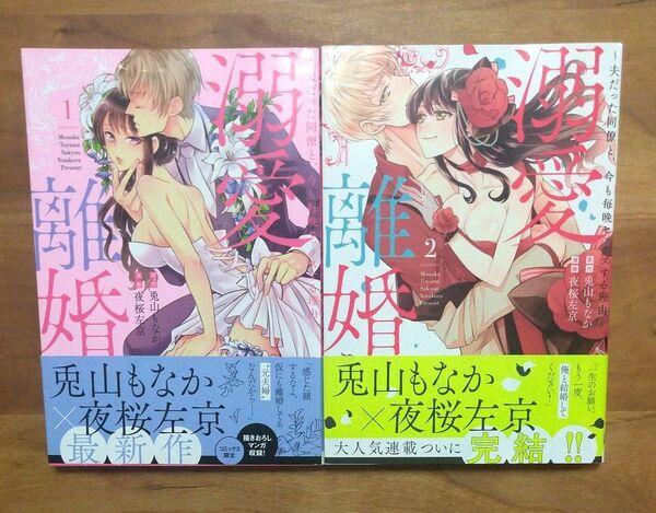 溺愛離婚~夫だった同僚と、今も毎晩セ 1、2巻 (Melt COMICS) 夜桜 左京 画