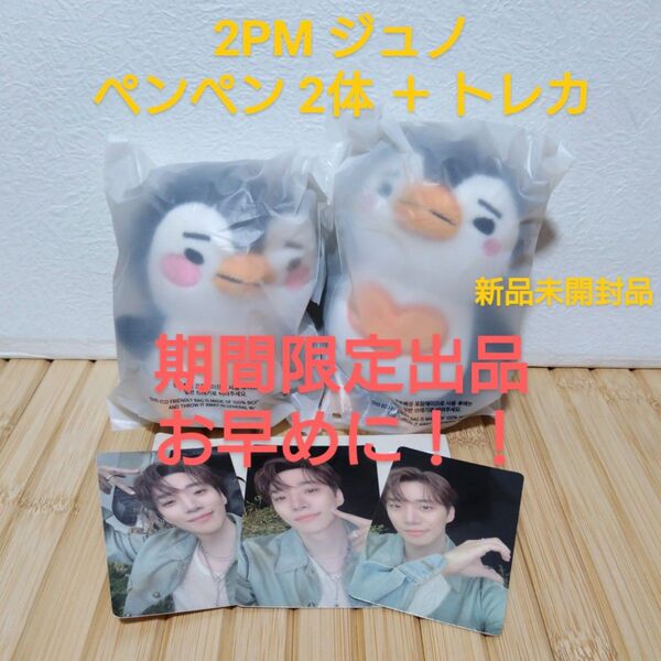 【期間限定出品】2PM ジュノ ペンペン2体+トレカ3枚セット