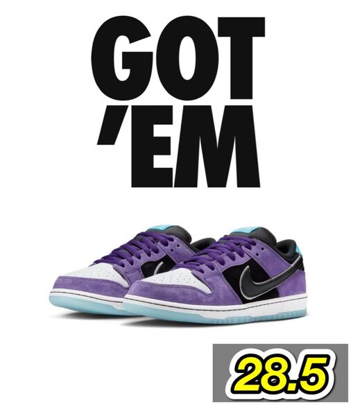 Hayley Wilson × Nike SB Dunk Low Pro "Black and Court Purple"28.5