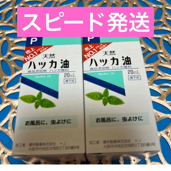 2箱 虫除け ハッカ油 ハッカオイル20mL 【日本製・正規品】