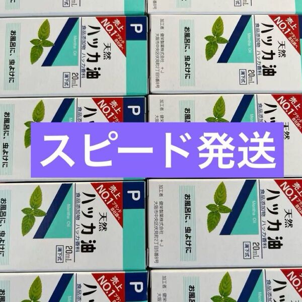 10箱 虫除け ハッカ油 ハッカオイル20mL 【日本製・正規品】