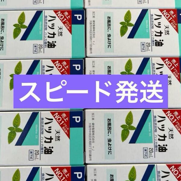 12箱 虫除け ハッカ油 ハッカオイル20mL 【日本製・正規品】