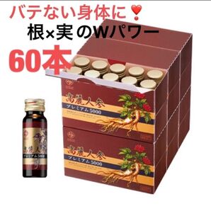 60本 6年根 高麗人蔘プレミアム5000 高麗人蔘ドリンク 高麗人蔘 紅蔘 ジンセンベリー スタミナチャージ