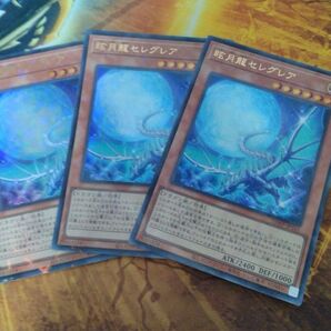 遊戯王 OCG 関連商品