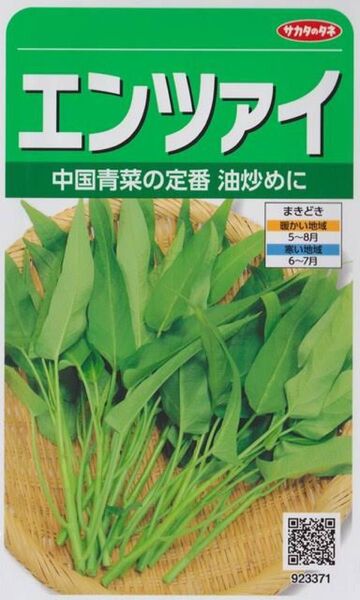 【中国野菜】エンツァイ 空芯菜 種 30粒