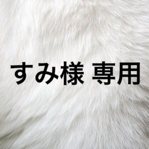 すみ様 専用